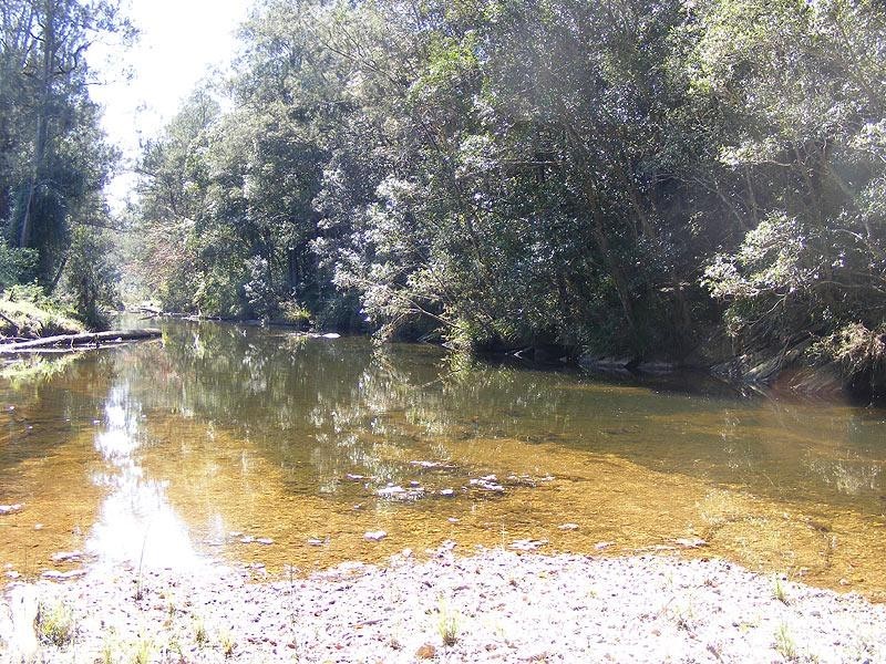 479 Kalang Road, Bellingen NSW 2454