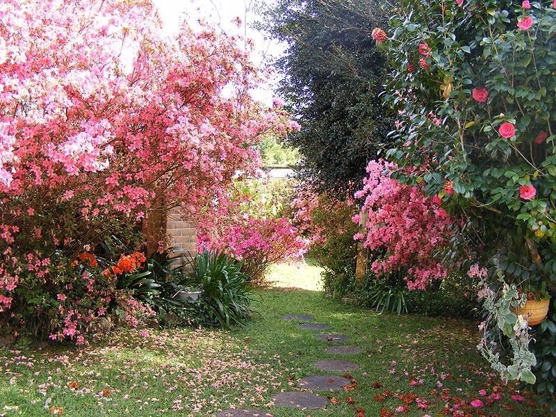 18 Ford Street, Bellingen NSW 2454