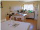 36 Dowle Street, Bellingen NSW 2454