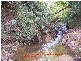 99 Summervilles Road, Bellingen NSW 2454