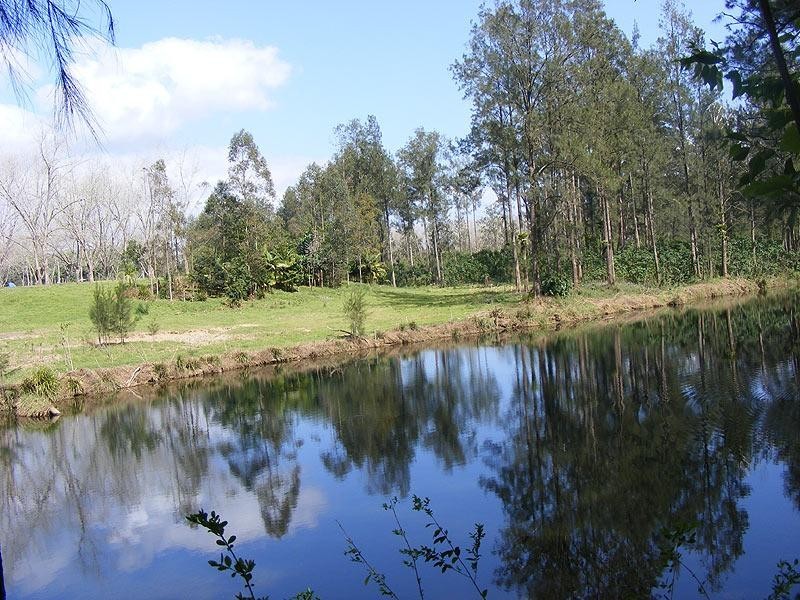 99 Summervilles Road, Bellingen NSW 2454