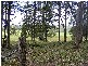 99 Summervilles Road, Bellingen NSW 2454