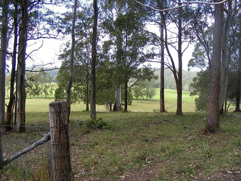 99 Summervilles Road, Bellingen NSW 2454