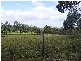99 Summervilles Road, Bellingen NSW 2454