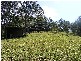 99 Summervilles Road, Bellingen NSW 2454