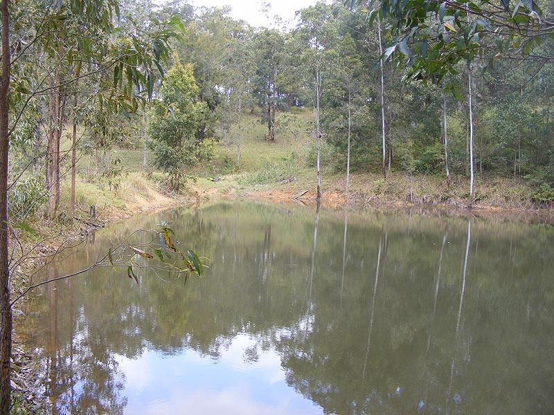 99 Summervilles Road, Bellingen NSW 2454
