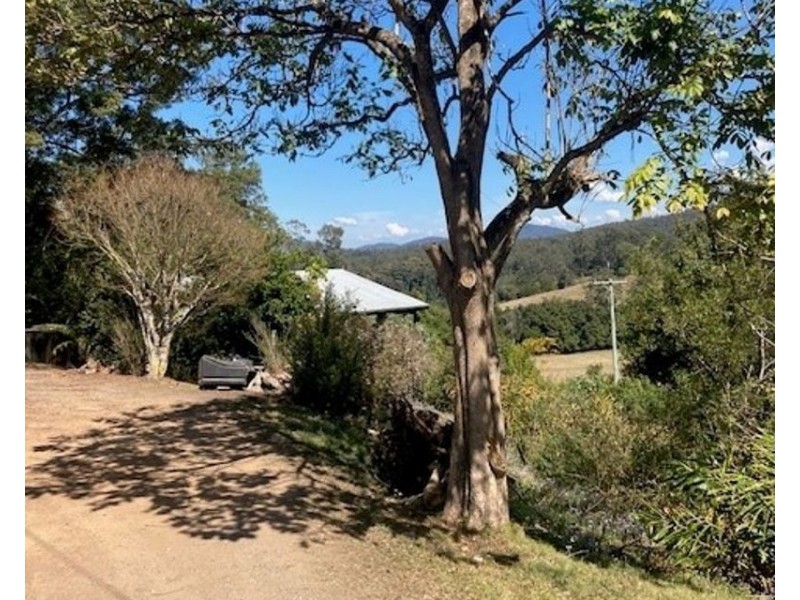 1/542 Bowraville Road, Bellingen NSW 2454