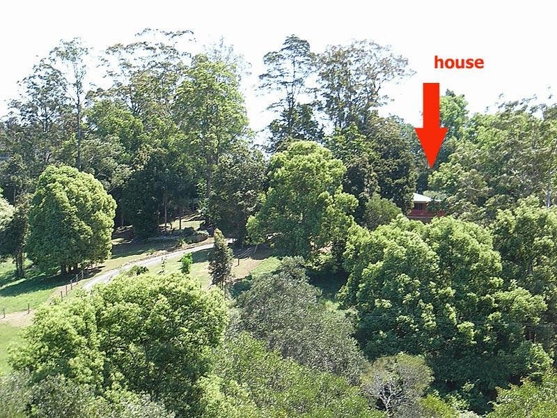 20 Rigney Road, Bellingen NSW 2454