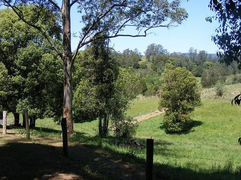 20 Rigney Road, Bellingen NSW 2454