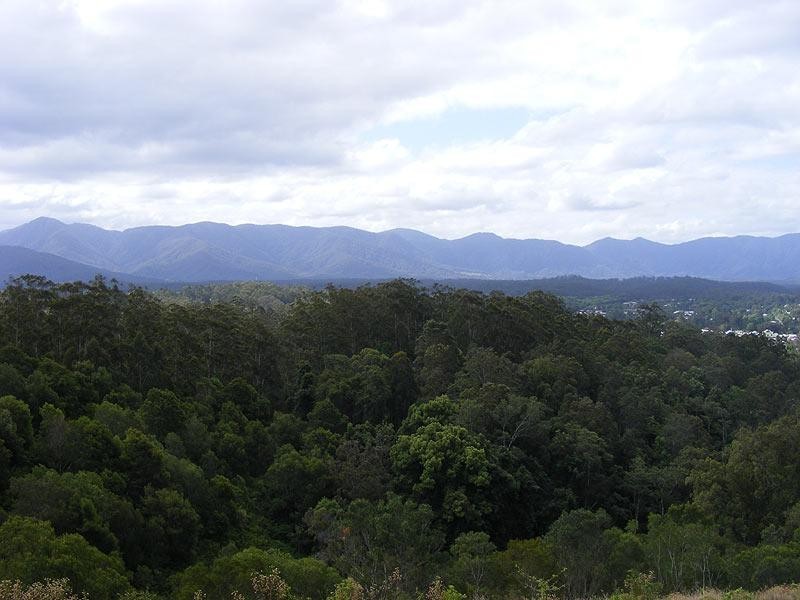 11 Bowraville Road, Bellingen NSW 2454