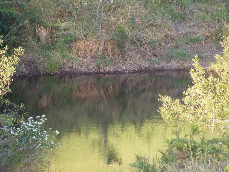 Lot 15 Gleniffer Road, Bellingen NSW 2454