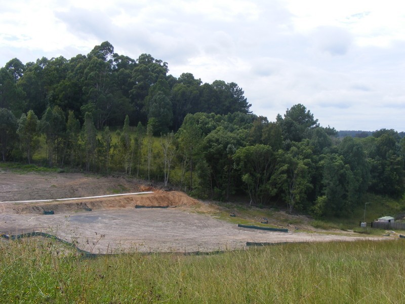 Lot 17 Red Gum Crescent, Bellingen NSW 2454