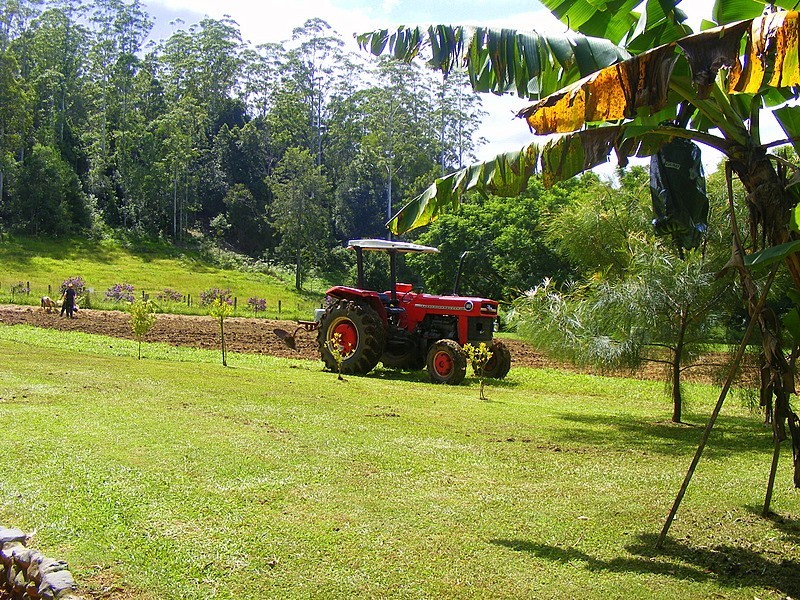 457 Summerviies Rd Thora, Bellingen NSW 2454