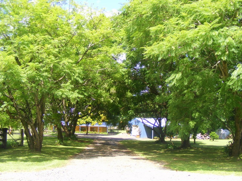 457 Summerviies Rd Thora, Bellingen NSW 2454