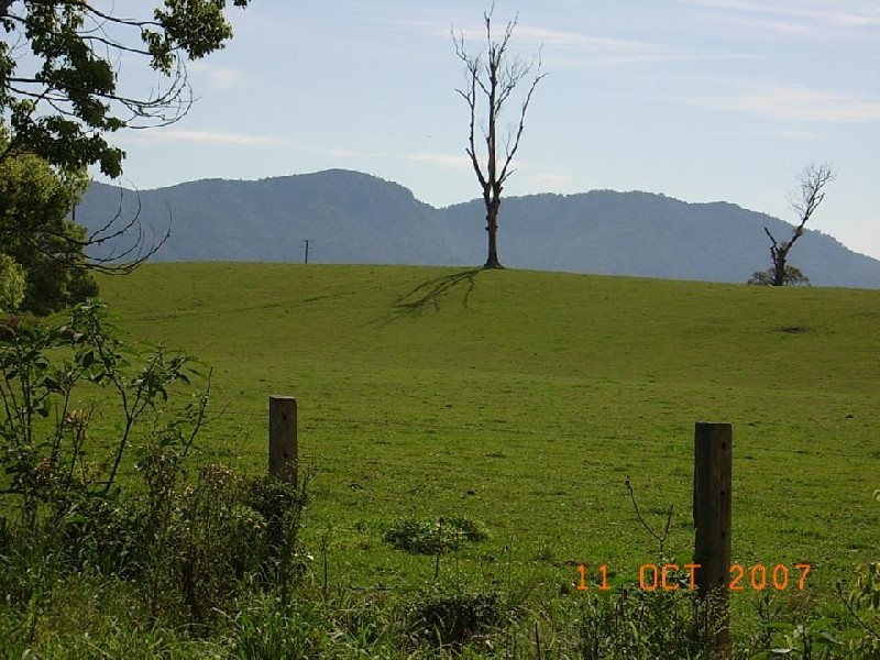 Bellingen NSW 2454