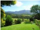 175 Darkwood Road Thora, Bellingen NSW 2454