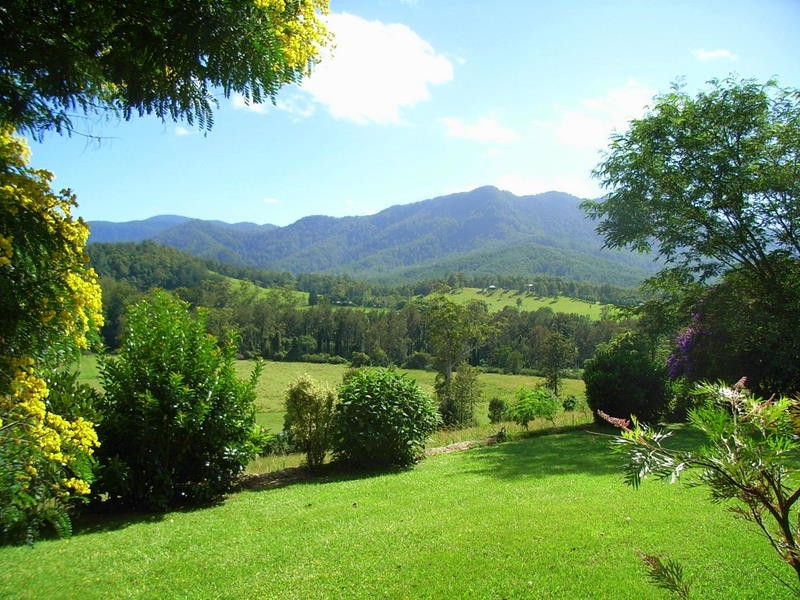 175 Darkwood Road Thora, Bellingen NSW 2454