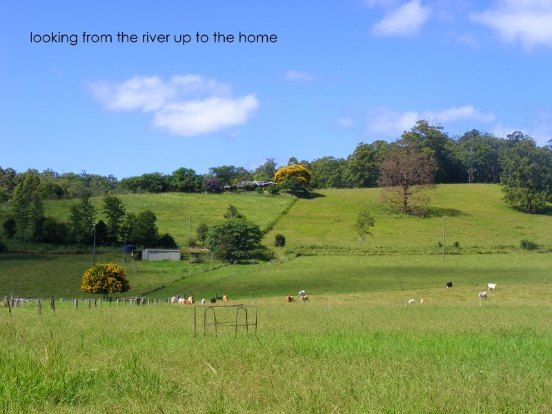 175 Darkwood Road Thora, Bellingen NSW 2454
