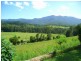 175 Darkwood Road Thora, Bellingen NSW 2454