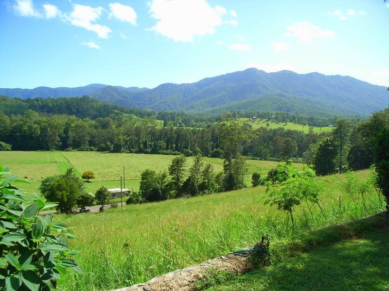 175 Darkwood Road Thora, Bellingen NSW 2454