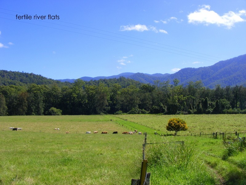 175 Darkwood Road Thora, Bellingen NSW 2454