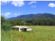 175 Darkwood Road Thora, Bellingen NSW 2454