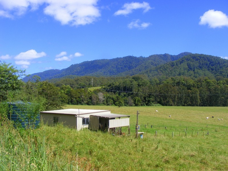 175 Darkwood Road Thora, Bellingen NSW 2454