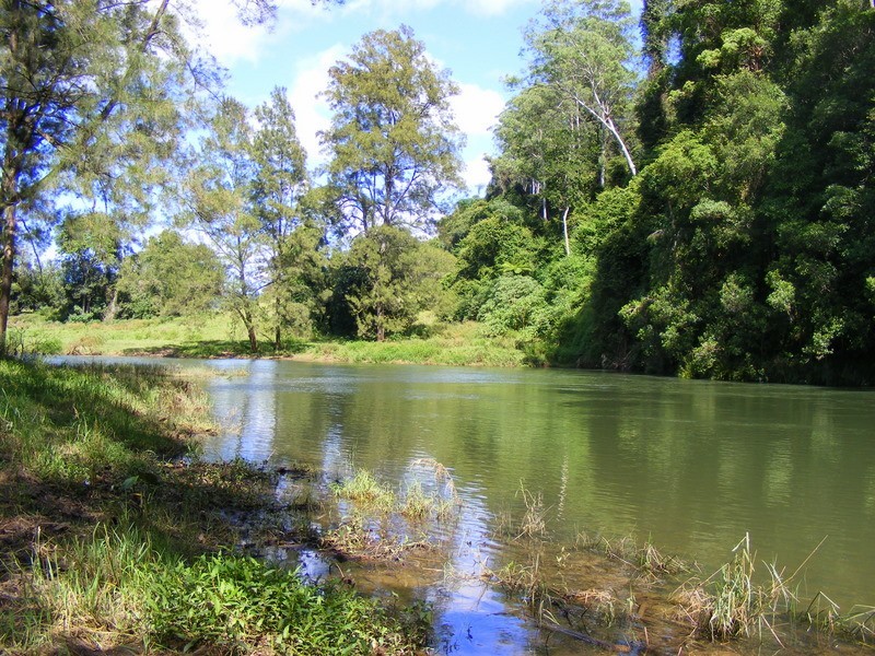 175 Darkwood Road Thora, Bellingen NSW 2454