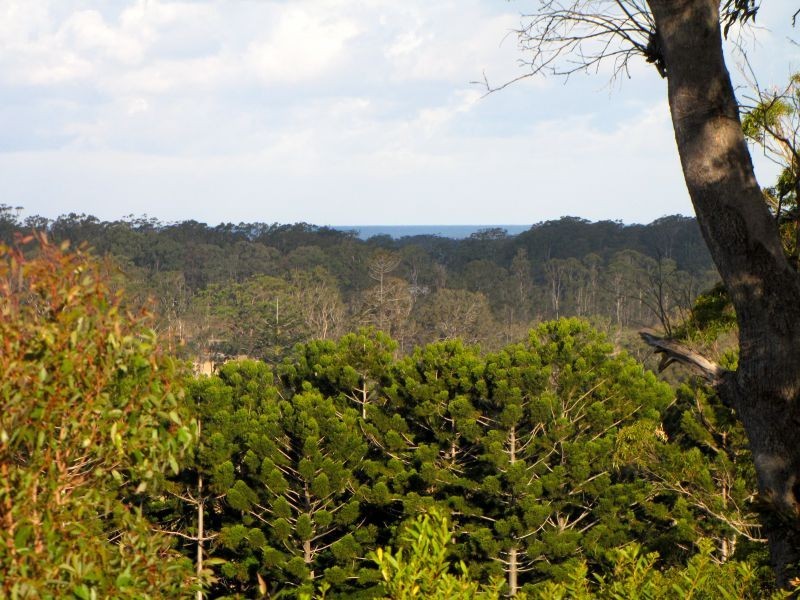 209 East West Road, Valla NSW 2448