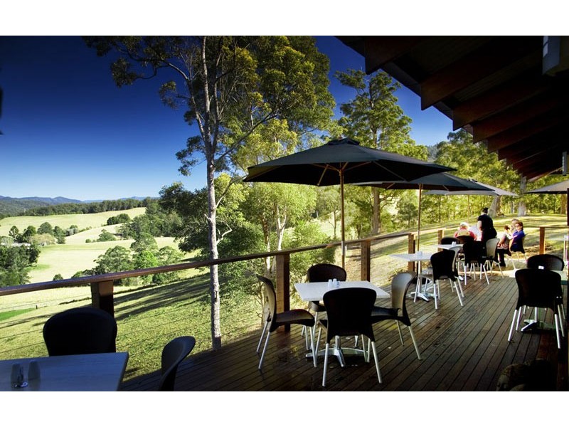 2749 Waterfall Way, Bellingen NSW 2454