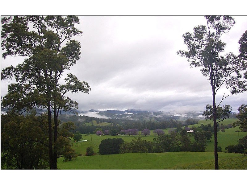 2749 Waterfall Way, Bellingen NSW 2454