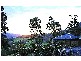 2749 Waterfall Way, Bellingen NSW 2454