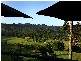2749 Waterfall Way, Bellingen NSW 2454