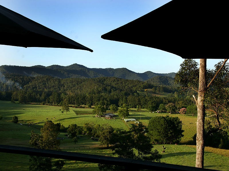 2749 Waterfall Way, Bellingen NSW 2454