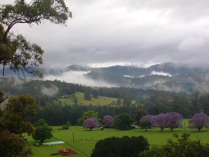 2749 Waterfall Way, Bellingen NSW 2454