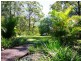 2749 Waterfall Way, Bellingen NSW 2454