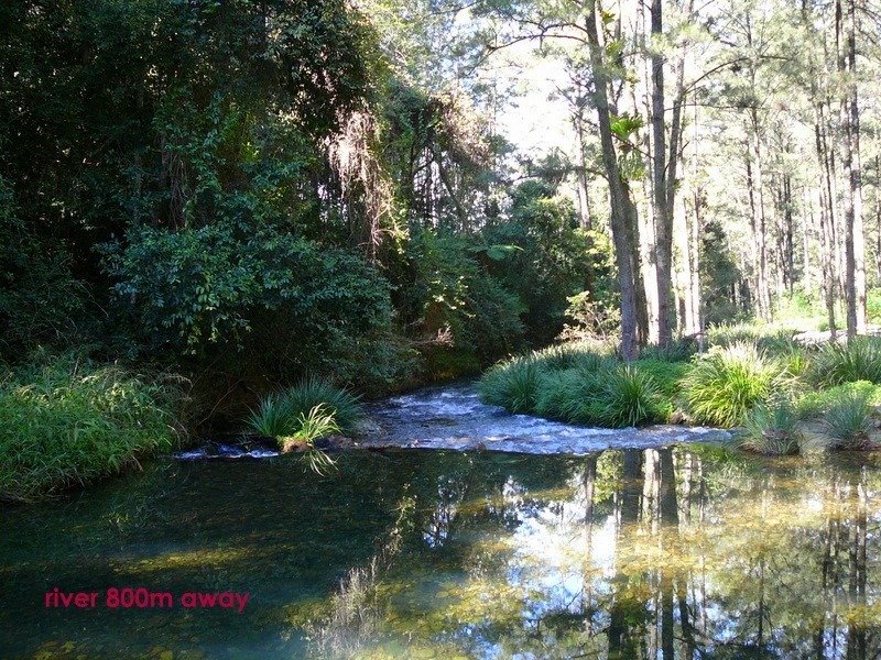 2749 Waterfall Way, Bellingen NSW 2454