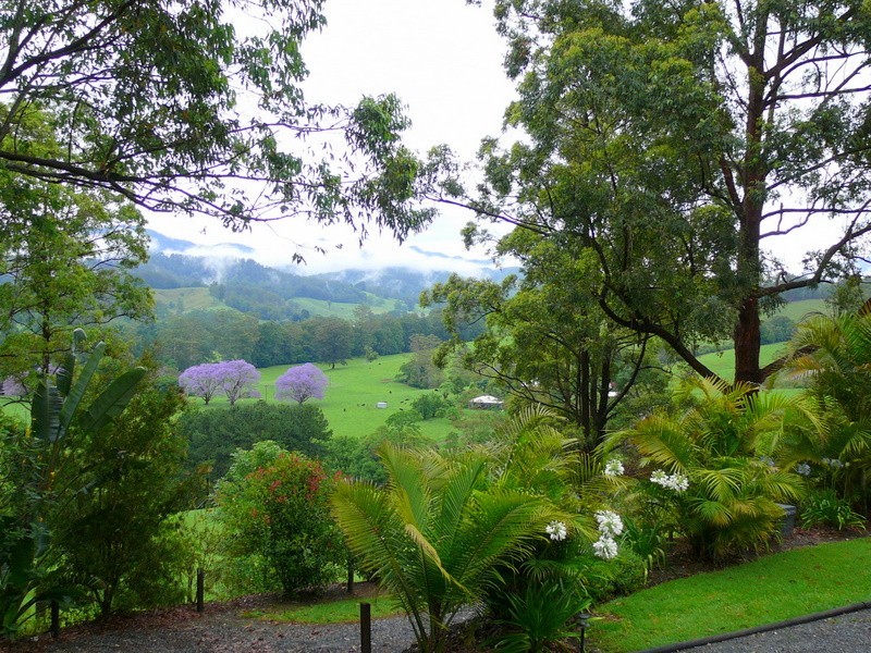 2749 Waterfall Way, Bellingen NSW 2454
