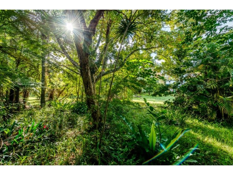 10 Lyon Street, Bellingen NSW 2454