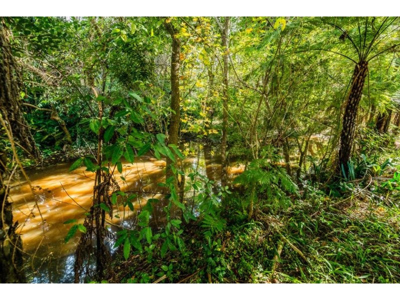 10 Lyon Street, Bellingen NSW 2454