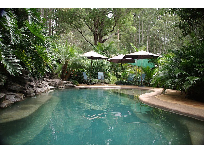 720 Kalang Road, Bellingen NSW 2454