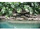 720 Kalang Road, Bellingen NSW 2454