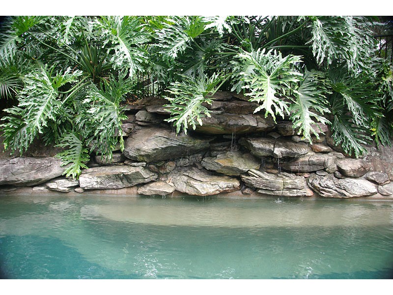 720 Kalang Road, Bellingen NSW 2454
