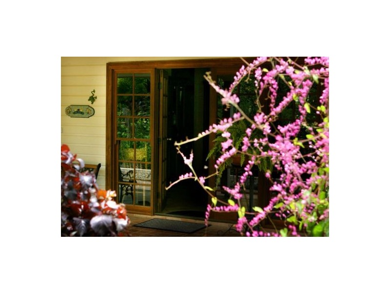 97 Mahers Road, Bellingen NSW 2454