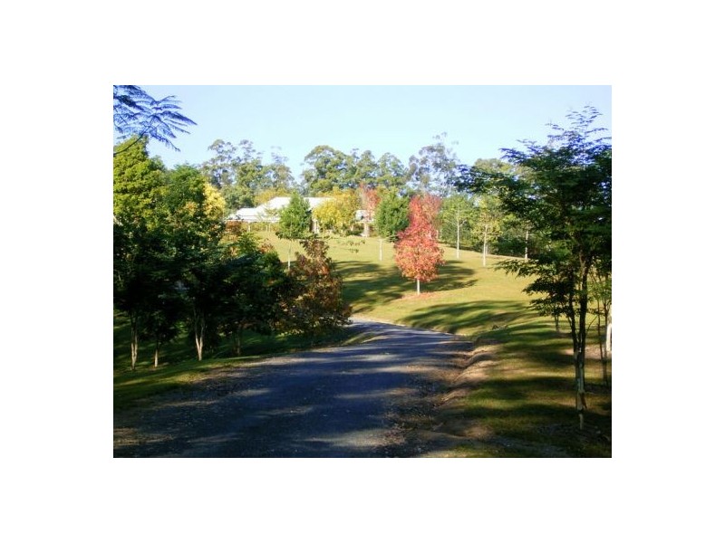 97 Mahers Road, Bellingen NSW 2454