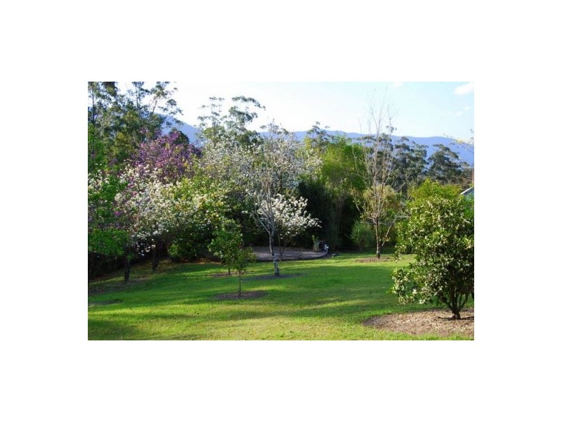 97 Mahers Road, Bellingen NSW 2454