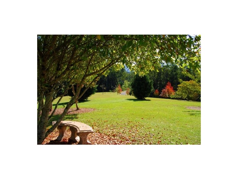 97 Mahers Road, Bellingen NSW 2454