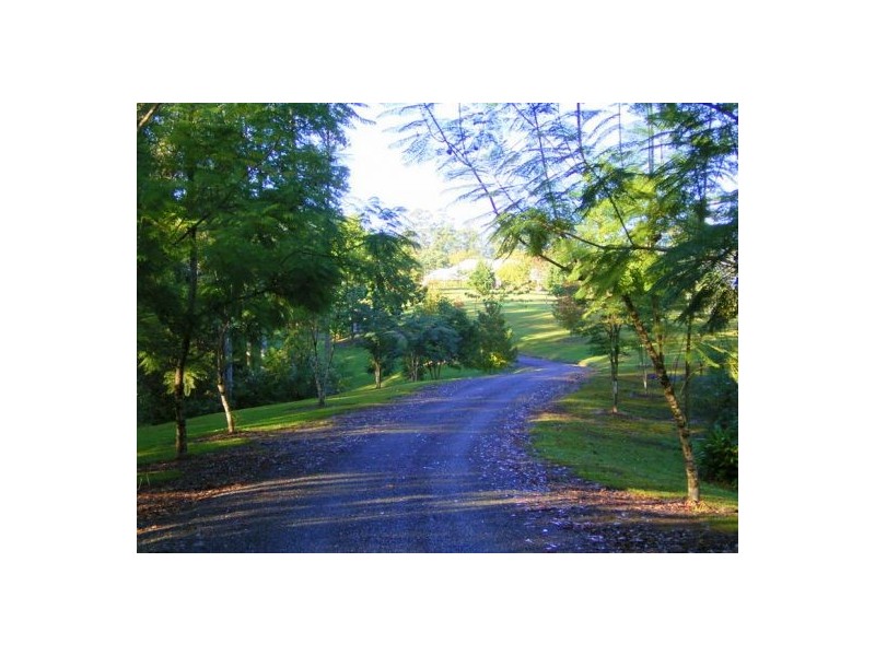 97 Mahers Road, Bellingen NSW 2454