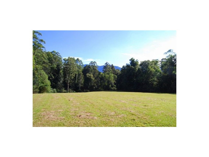 97 Mahers Road, Bellingen NSW 2454