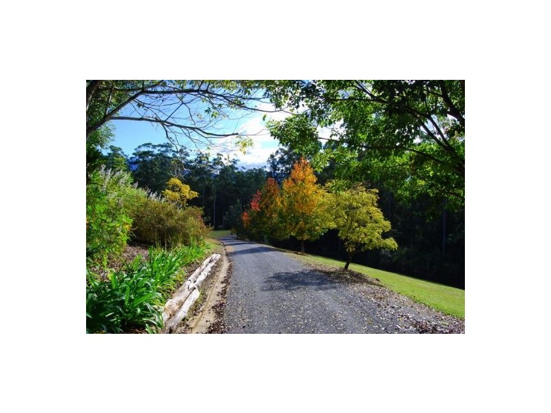 97 Mahers Road, Bellingen NSW 2454